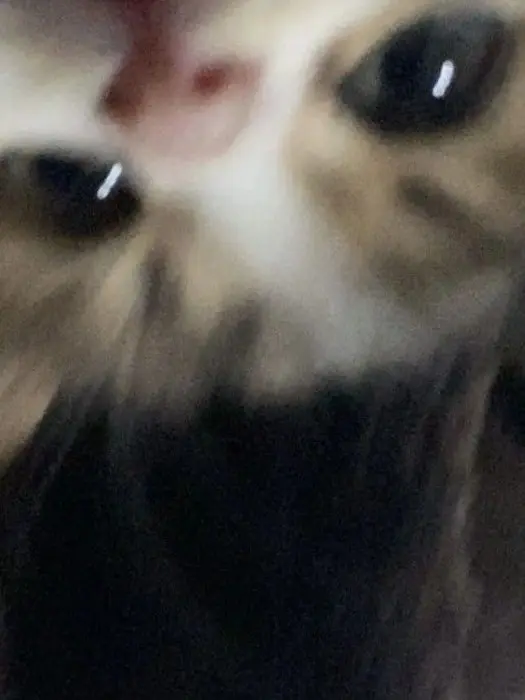 Yeeun0809의 김주혁