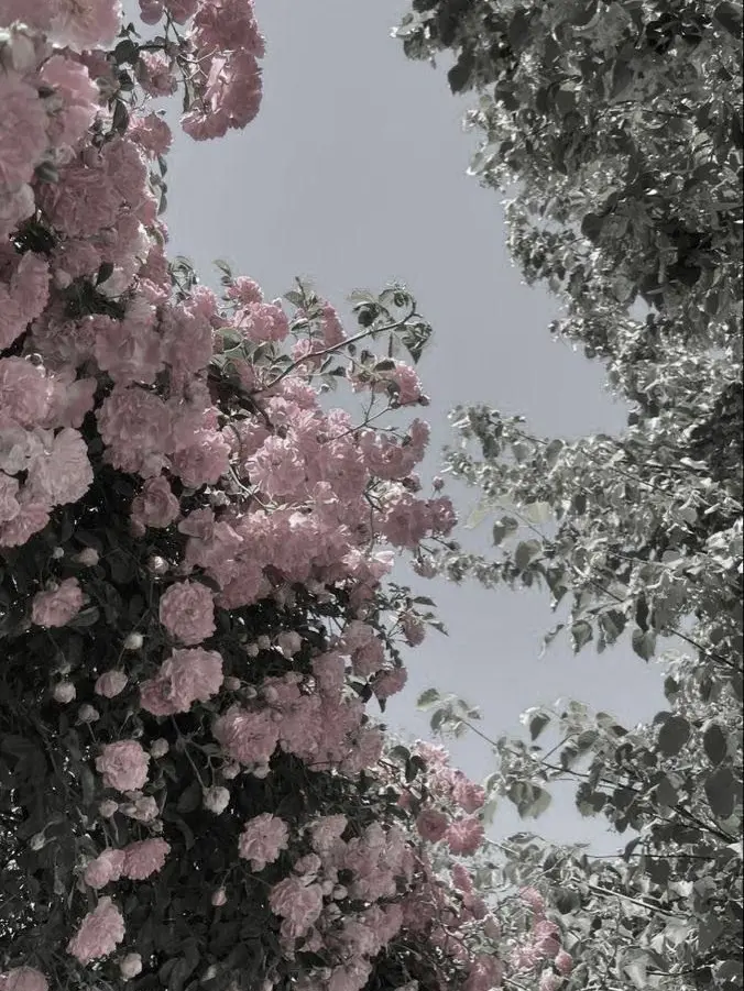 It_s_unsavory_의 어쩌다 동거가 시작되었다.