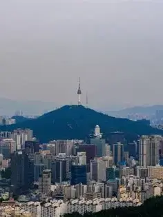 DensePug4473의 일상RPG