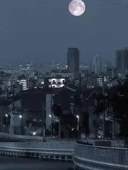 104neco2486의 せめよんを狙う転校生。