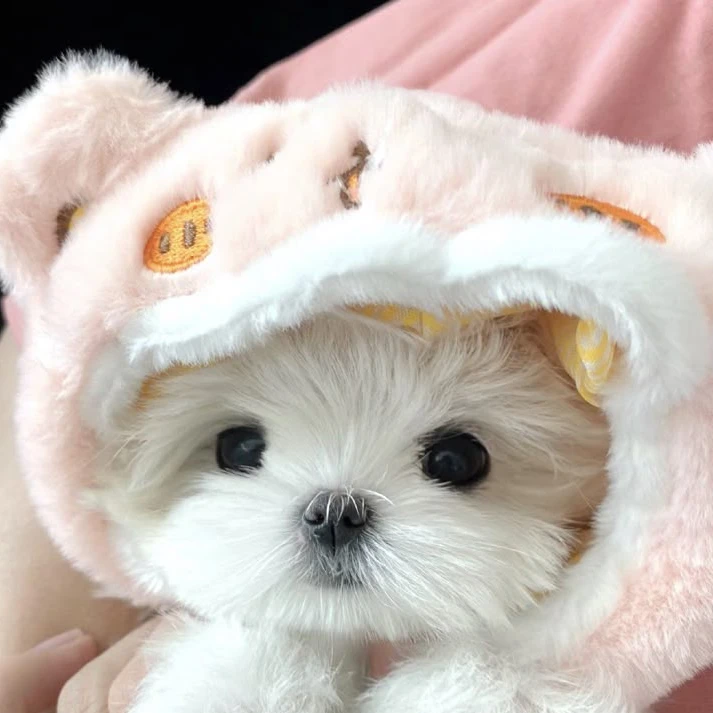 유 해율