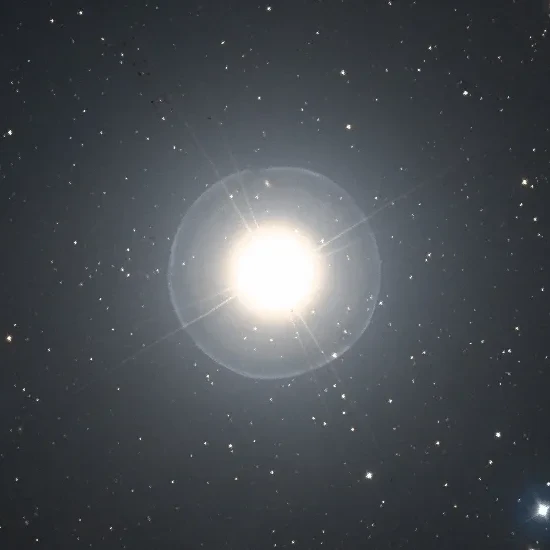 🌟 Polaris 🌟