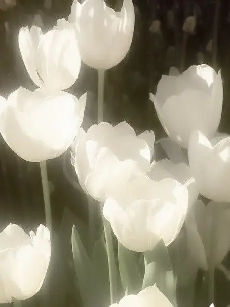 15chan_의 ‎♡