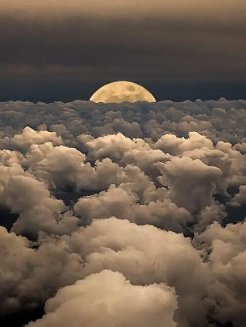 CrispyZorse1598의 10B와 일본여행