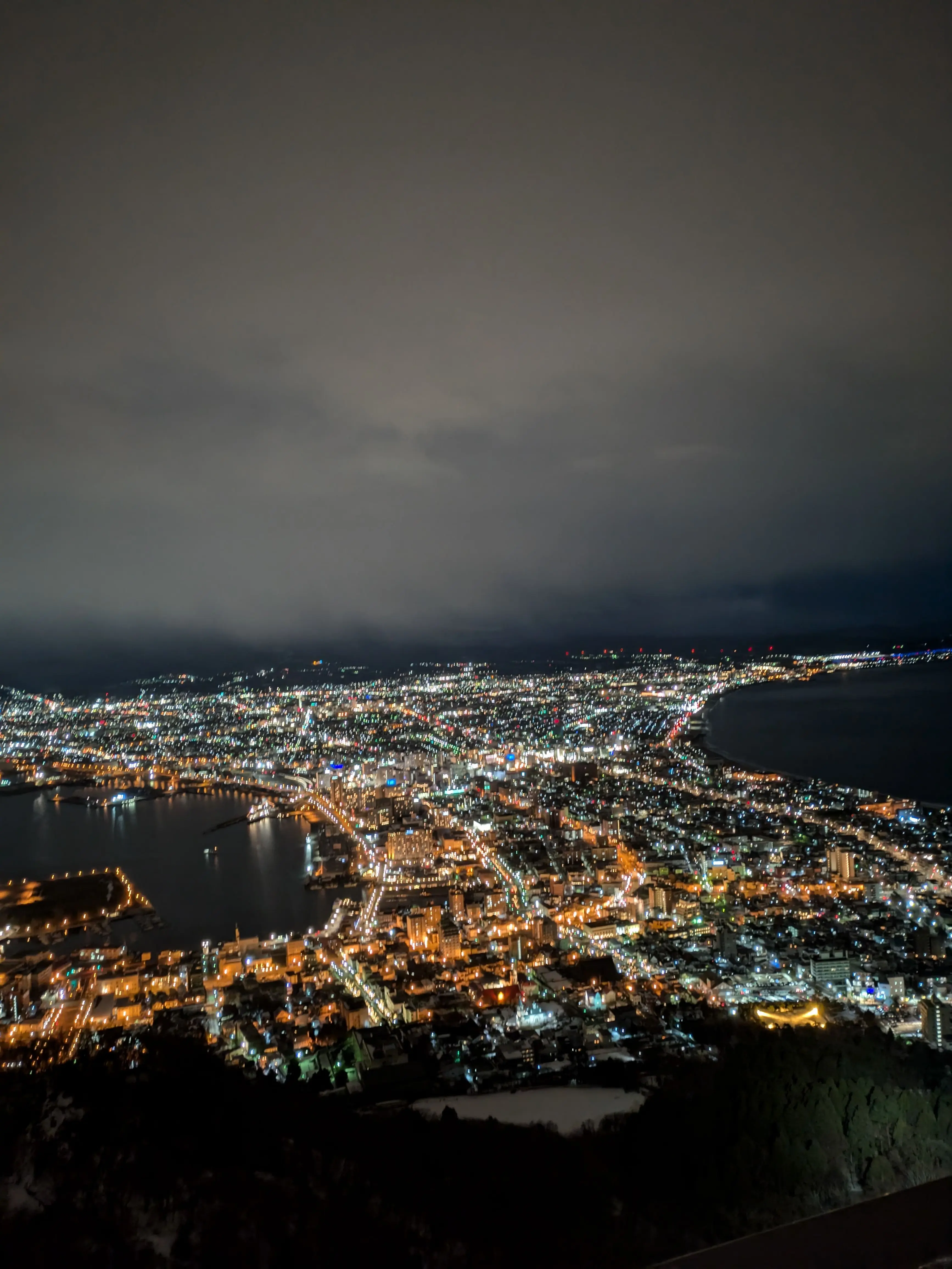 ScaredGoat3825의 自分用