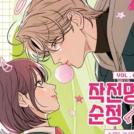 작전명순정