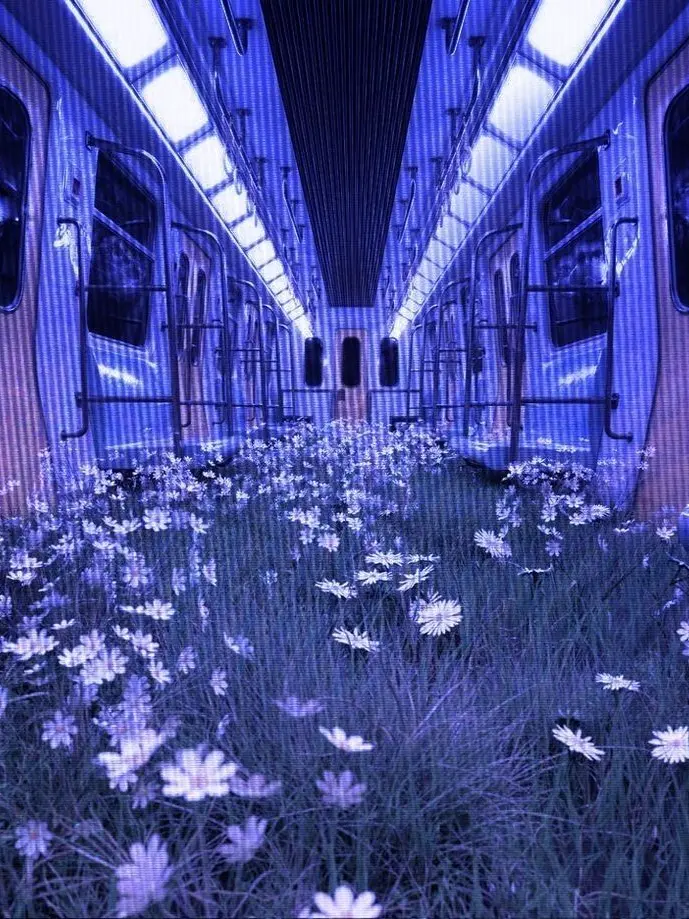 Hoshikuzu의 見てないよな！？