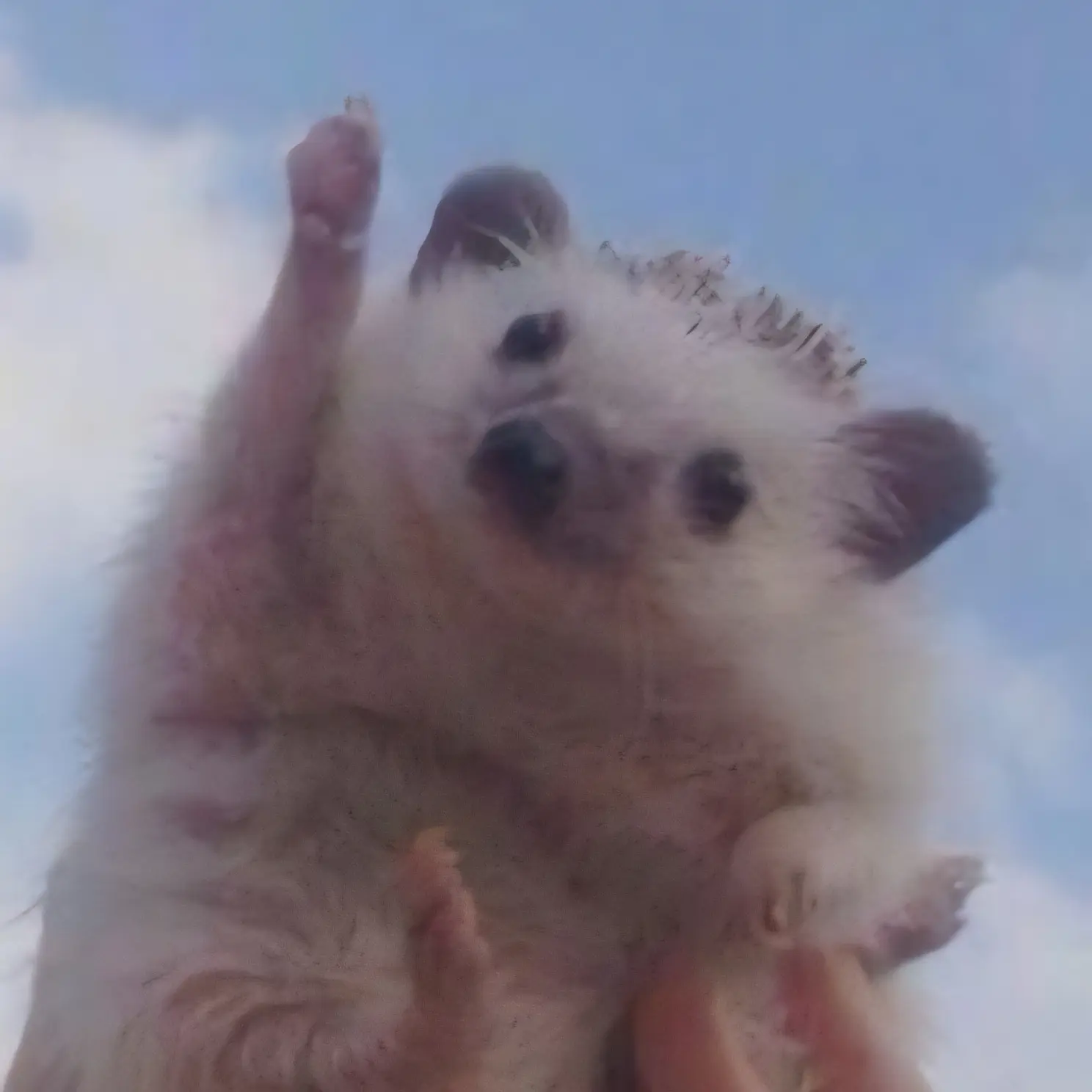 Arianel의 리레볼루션(수인물)