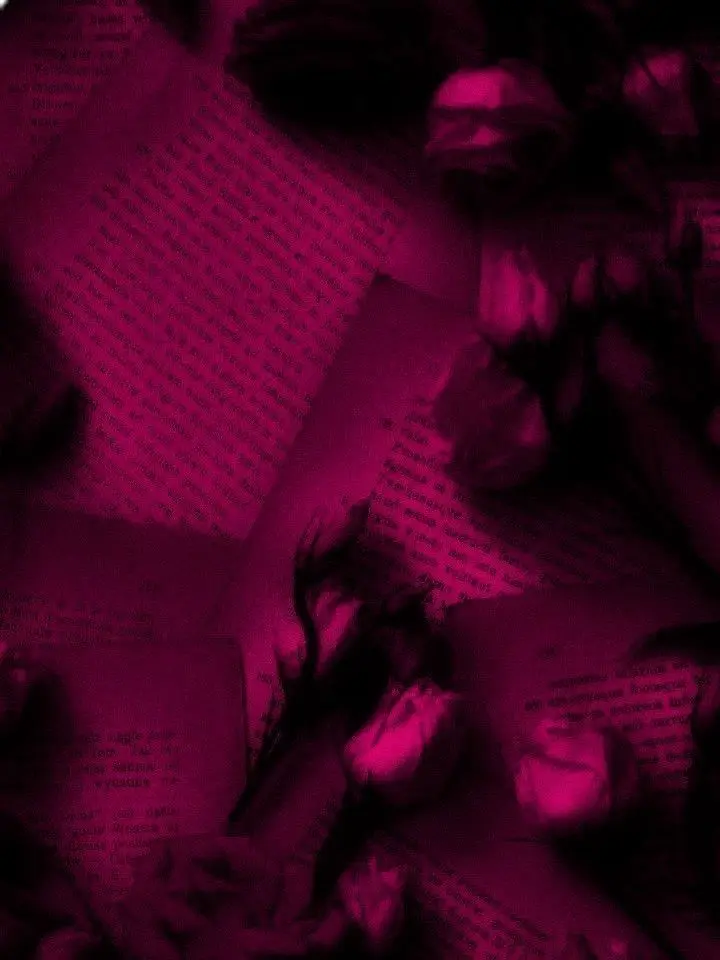 ANGELOFDARKROMANCE의 ♡ 𝔐𝔦𝔫𝔢 𝔱𝔬 ℌ𝔞𝔱𝔢 ♡