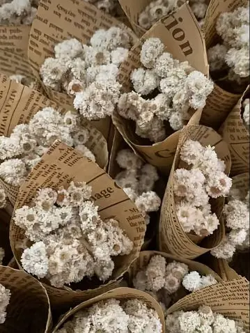 ma.ma.l.gay의 나루미 겐