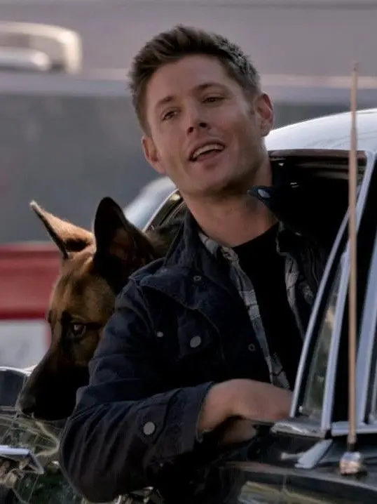 PainedKishu9100의 Dean Dog Afternoon