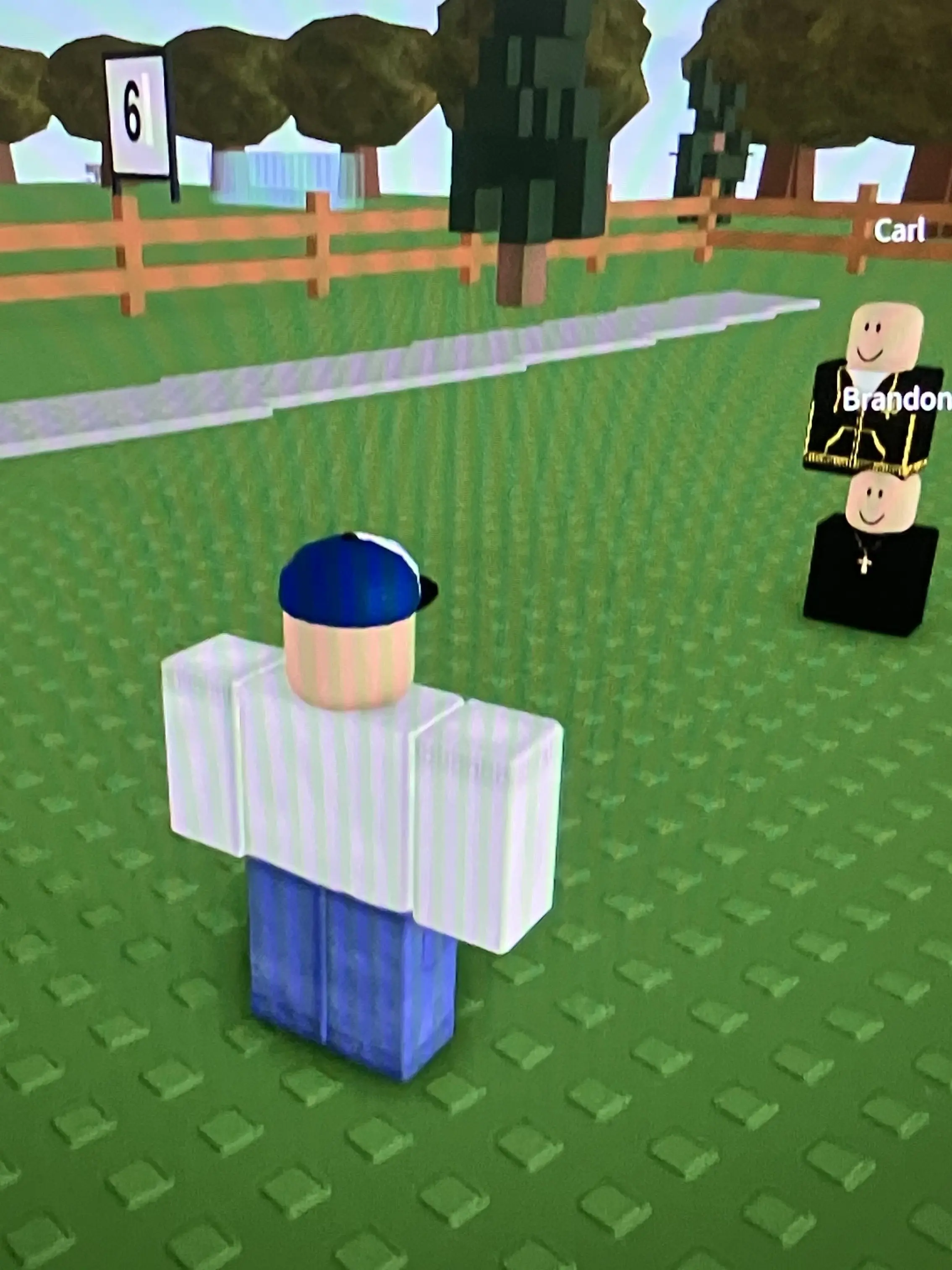 0o_wzx의 Brandonを助けよう!!