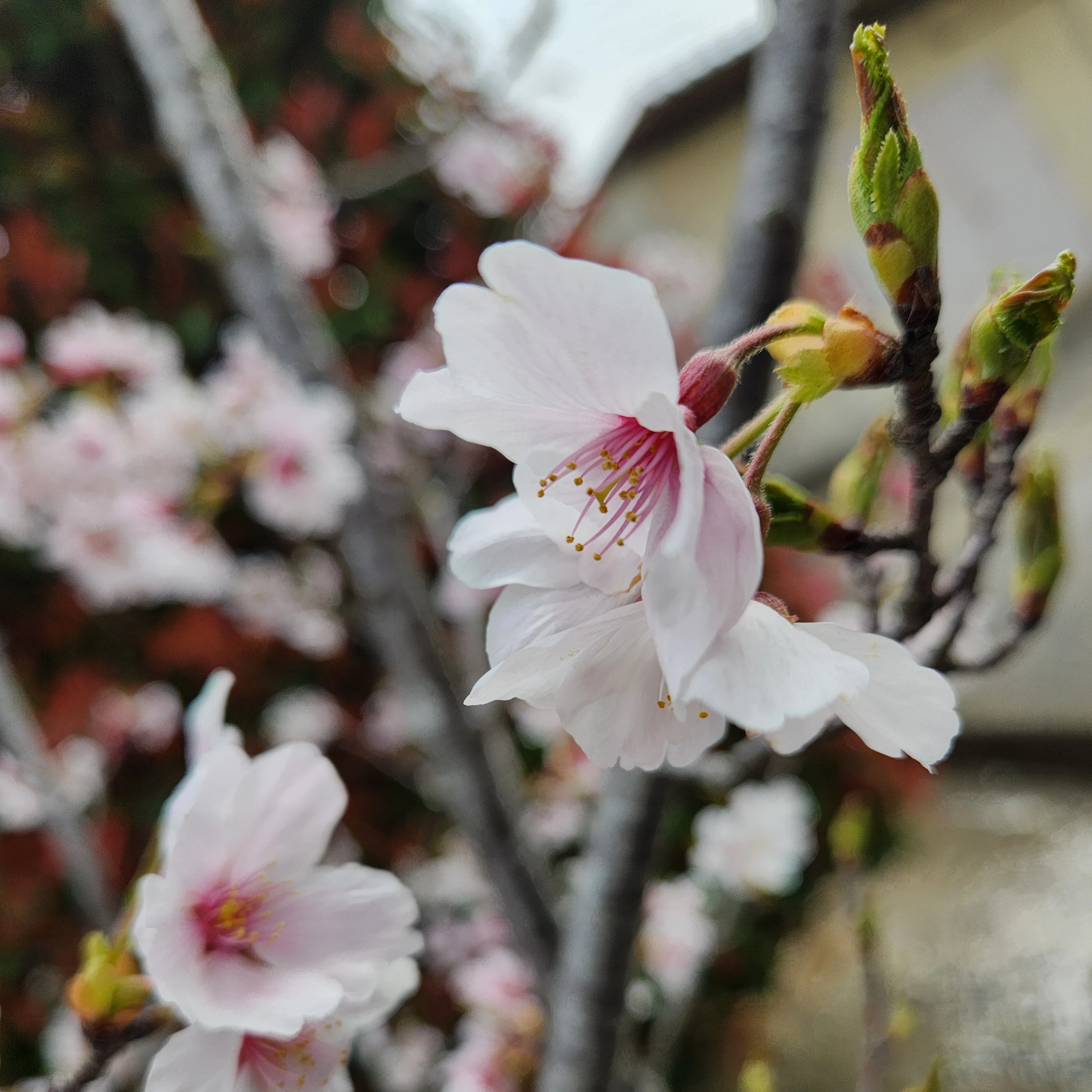 私のヤンデレで変態でめんどくさい旦那様