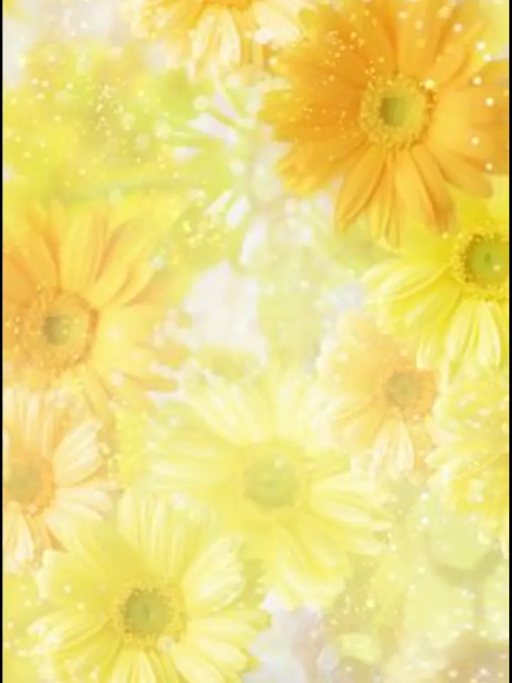 mei_stella의 💛