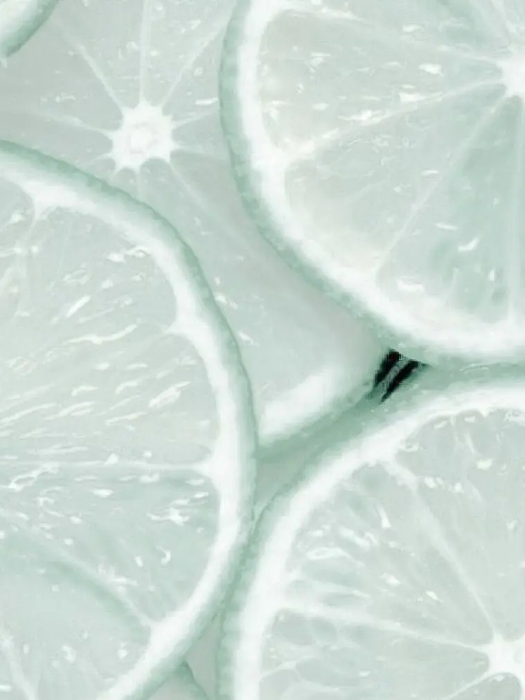 LilL11077의 [수상한 이웃집]