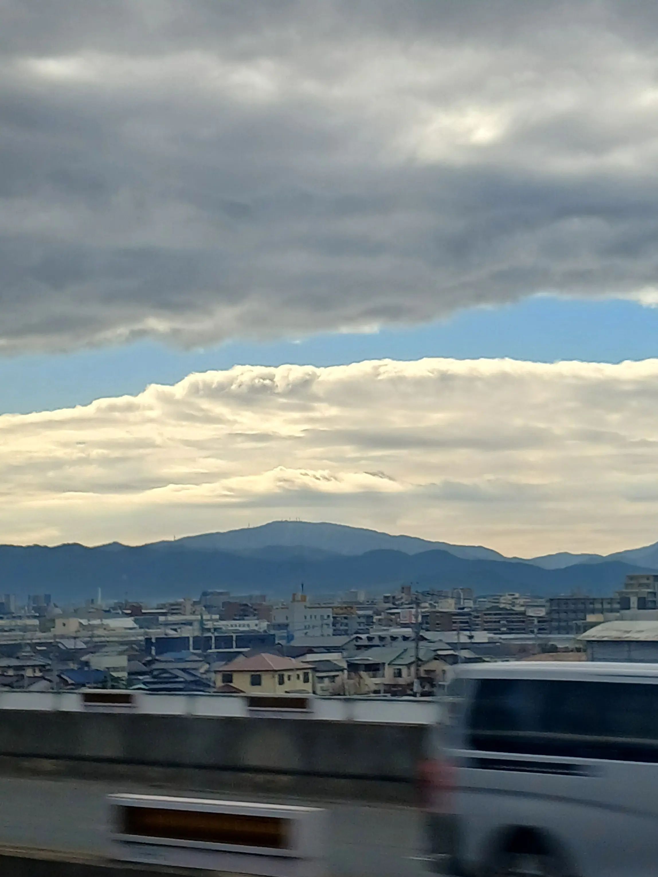 RedNose2739의 섬도시에서 살아남기!