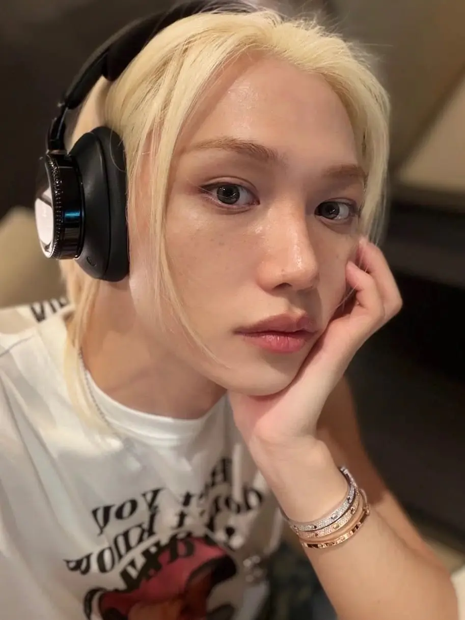 I_lovestraykids의 Felix
