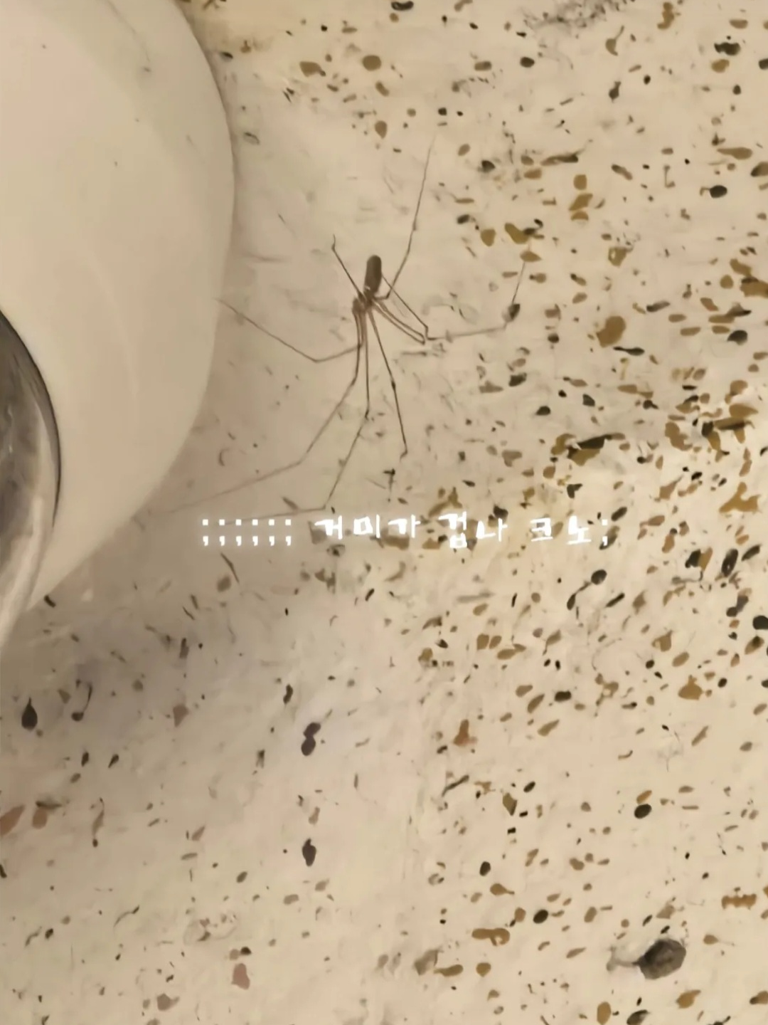 엄.. 둘다 얌전해져라... 대표 이미지