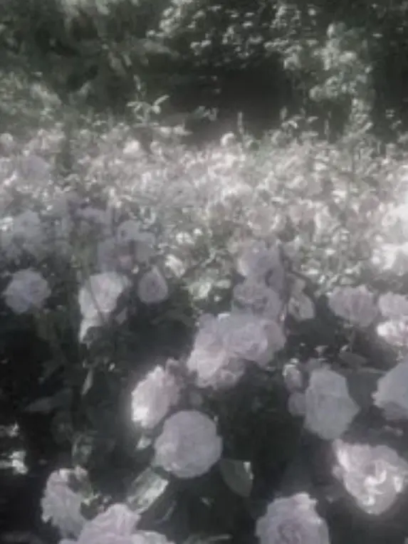 RaspyBloom1130의 学生倉くんに好かれてます。自己満。
