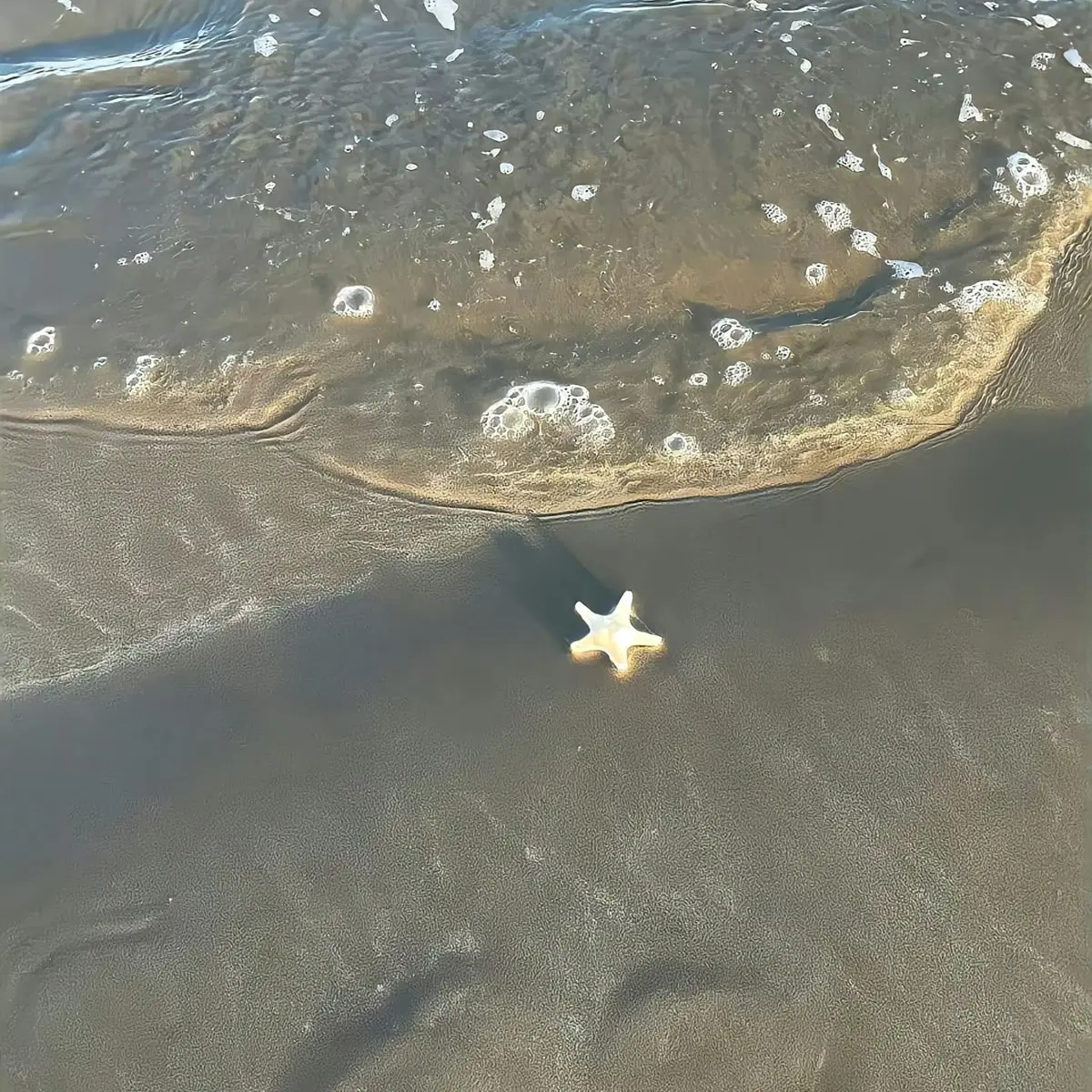 FluidKnob1417의 종 . 천 . 러