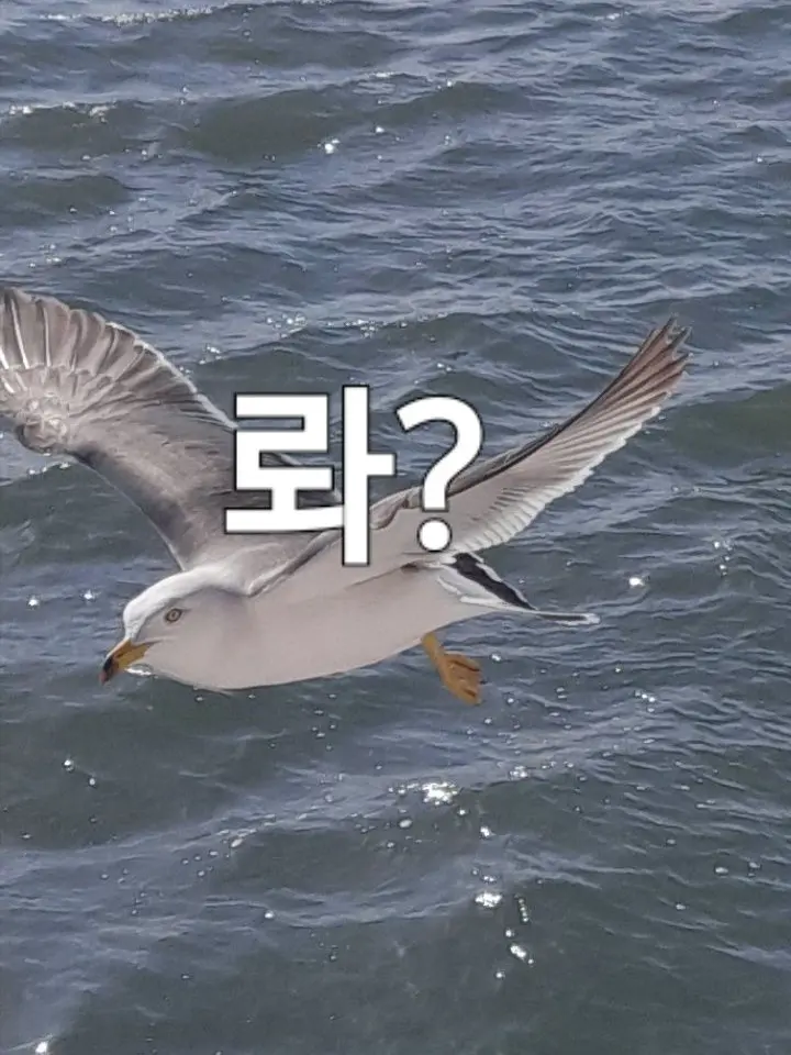 BitingHelm57의 행복한(?)크리스마스