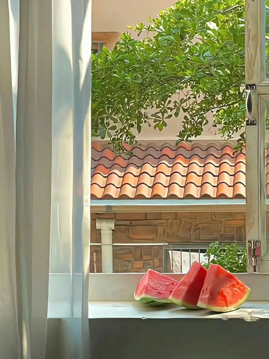 ShiftyJazz6499의 반짝이는 워터멜론✨️🍉