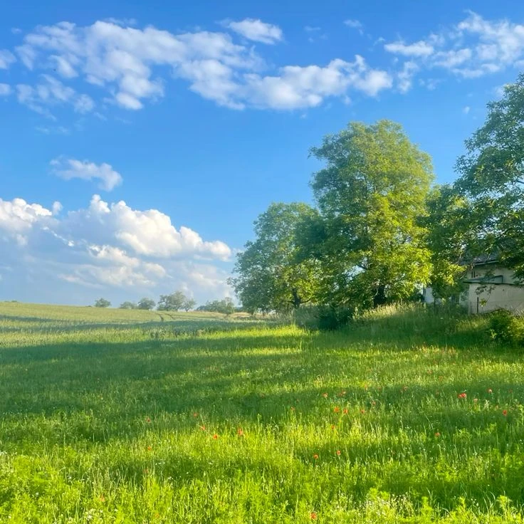 이름을 알려줘.