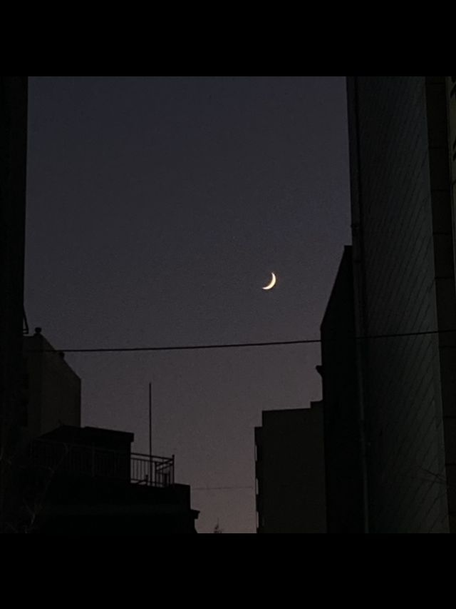 「黒月」 대표 이미지
