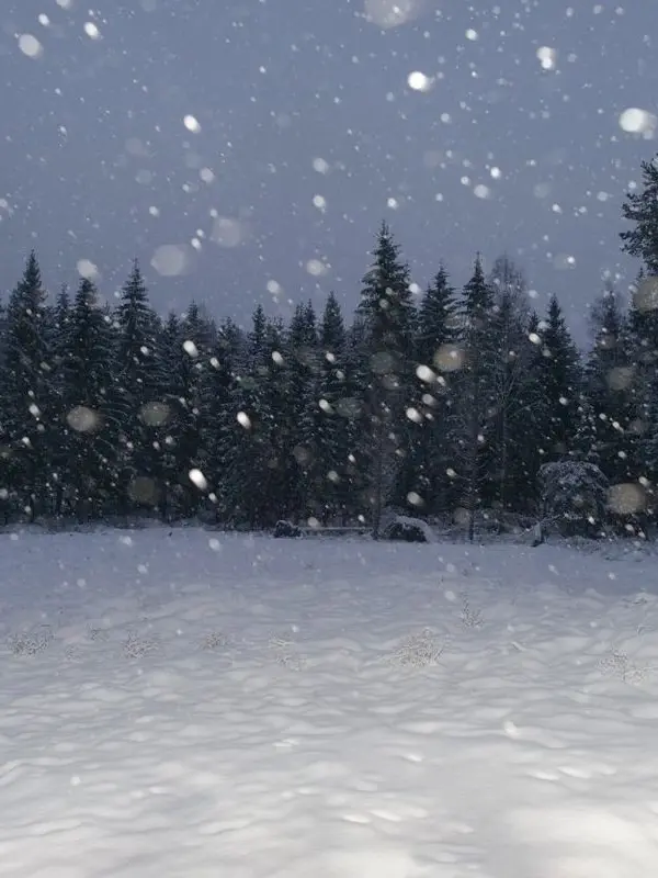Sunguripongpong의 初雪が降れば