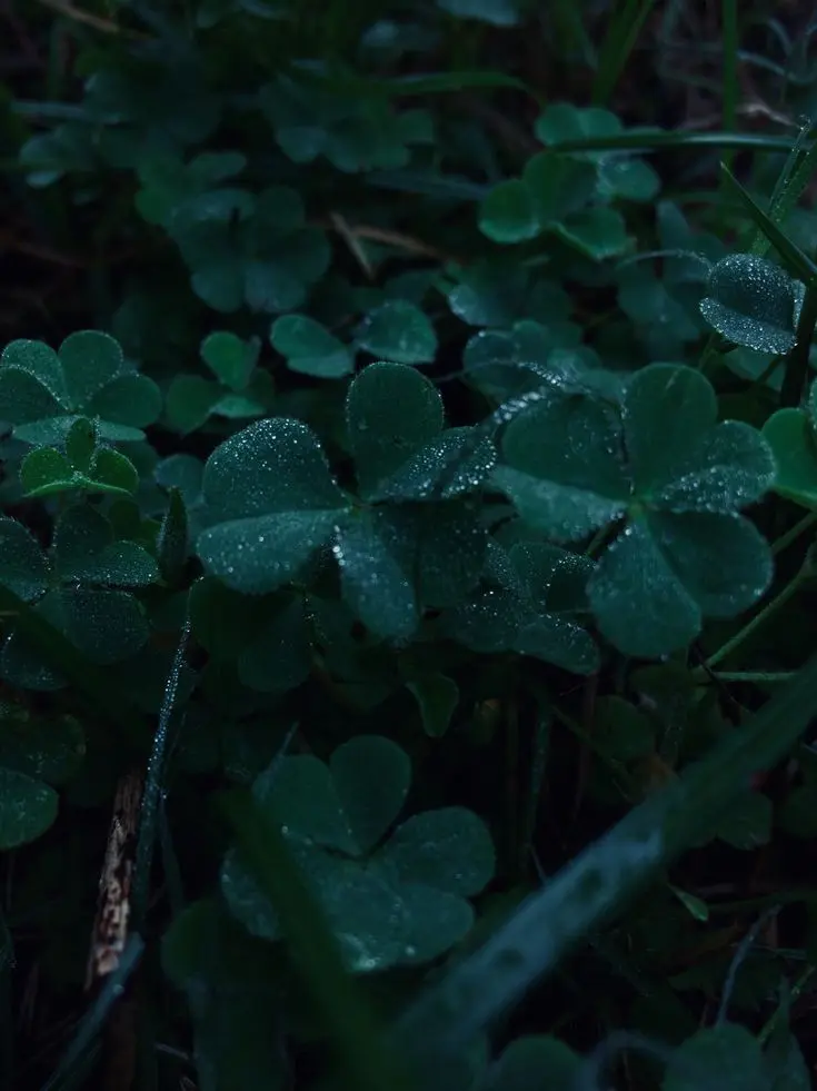 Tiiis2u의 김주은