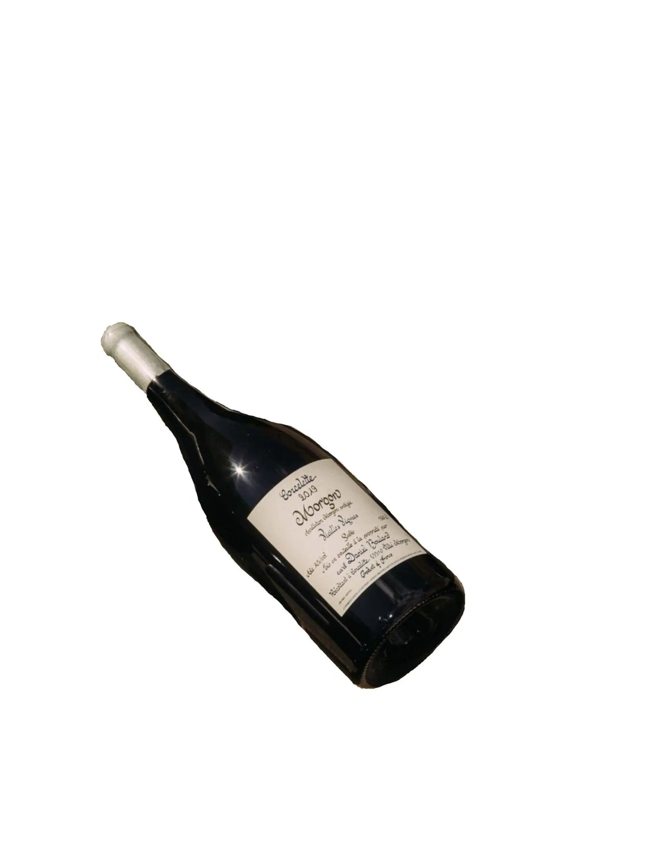 apricotWild의 狂犬