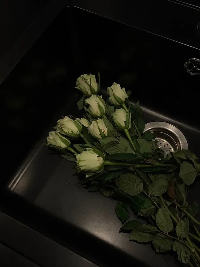 Navvon의 朴 暖祐