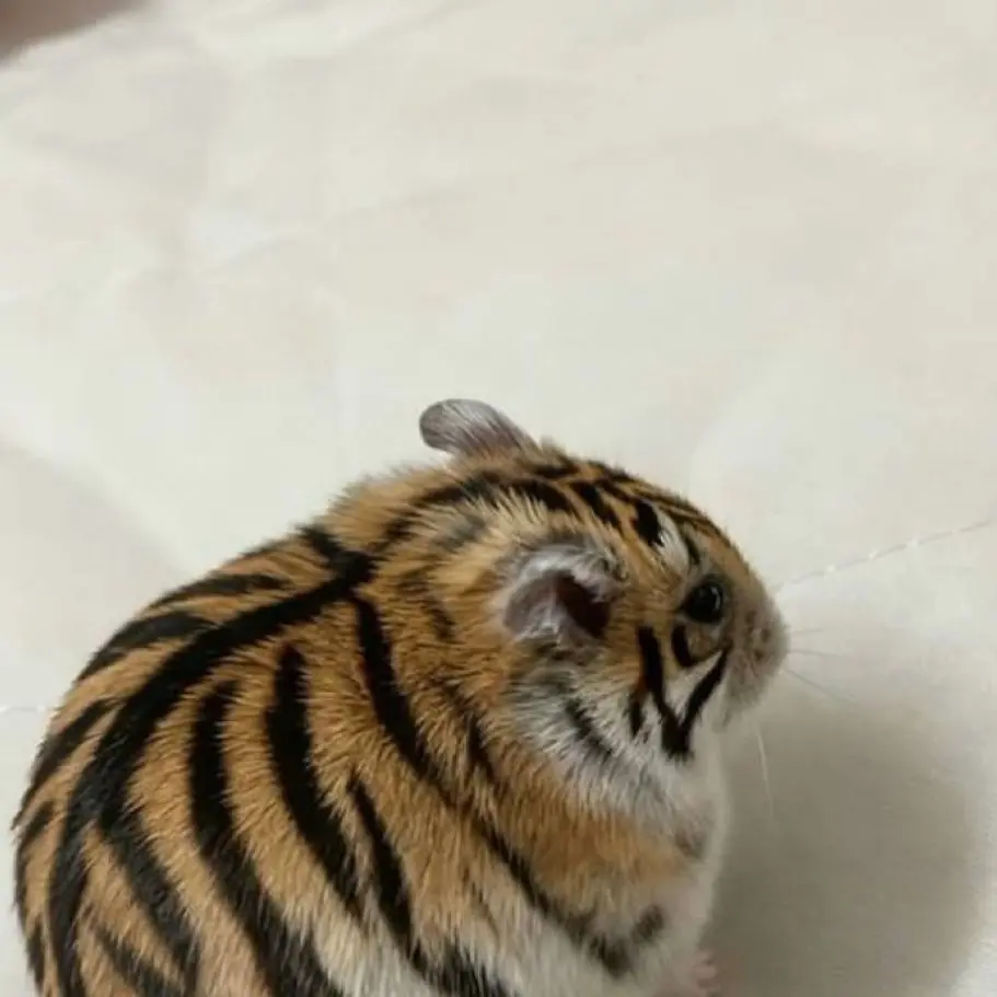 SquareTube8341의 중증외상센터 (신고하지 말아주세요)