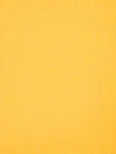 m1nq의 いけない関係