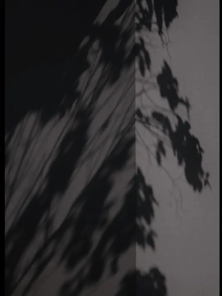 10575의 포식자(捕食者)