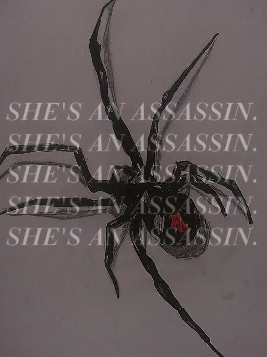 GravyGrace538의 Black Widows & Tf141
