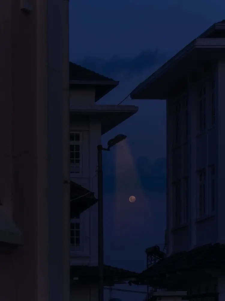 RiceFriend의 경찰 선배가 날 너무 아낀다.