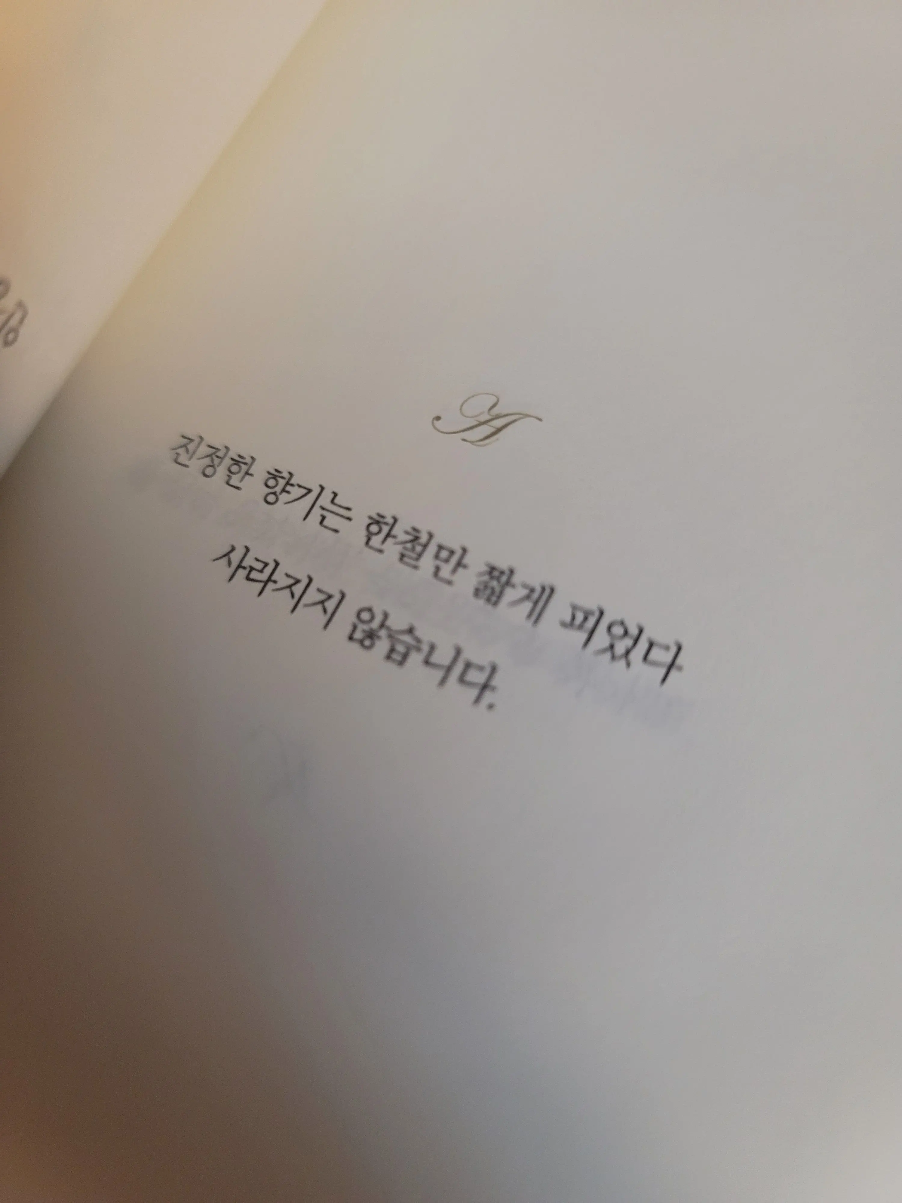 mui_rin의 루이네시스 사리나