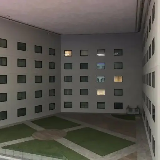 ezez0202의 백룸의 남자