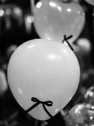 knt_hbr_zeffiro의 愛されない