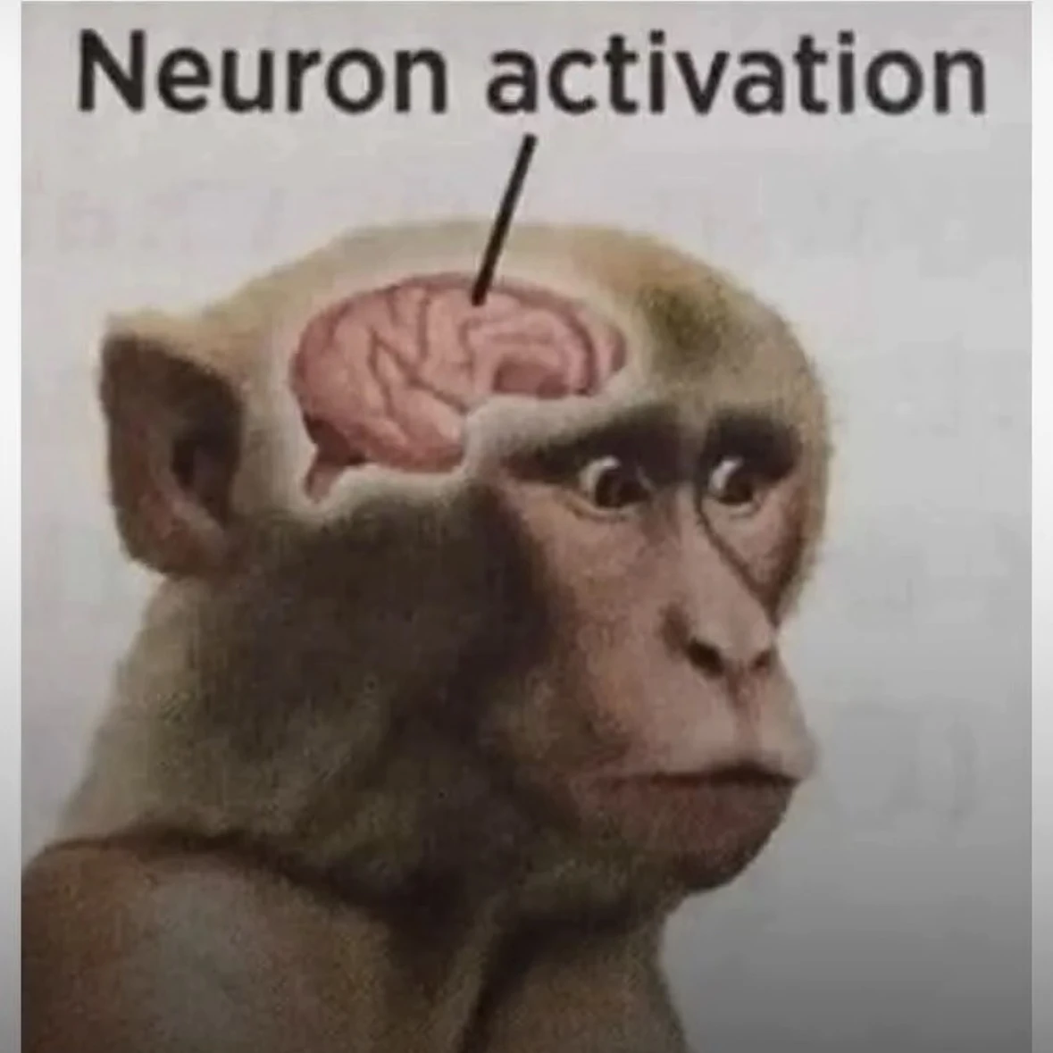 魔王様と王女様に好かれる