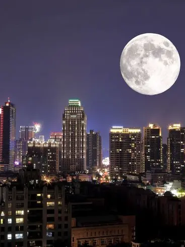 sdh1207의 리 레볼루션 (괴도)