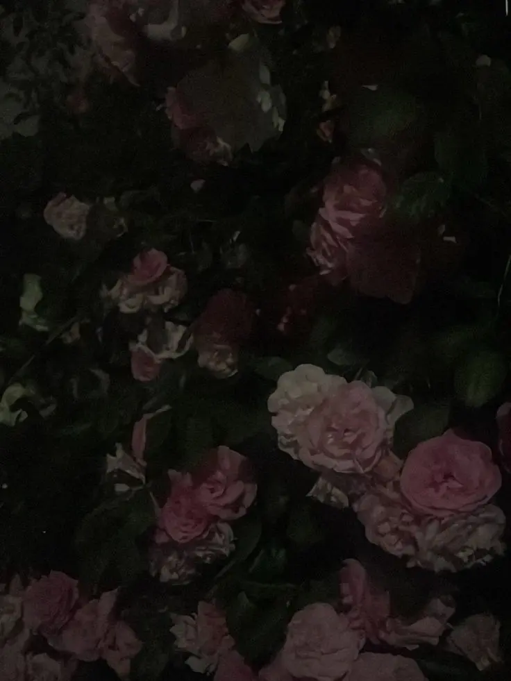 _Frog.Twist-의 그곳 어딘가