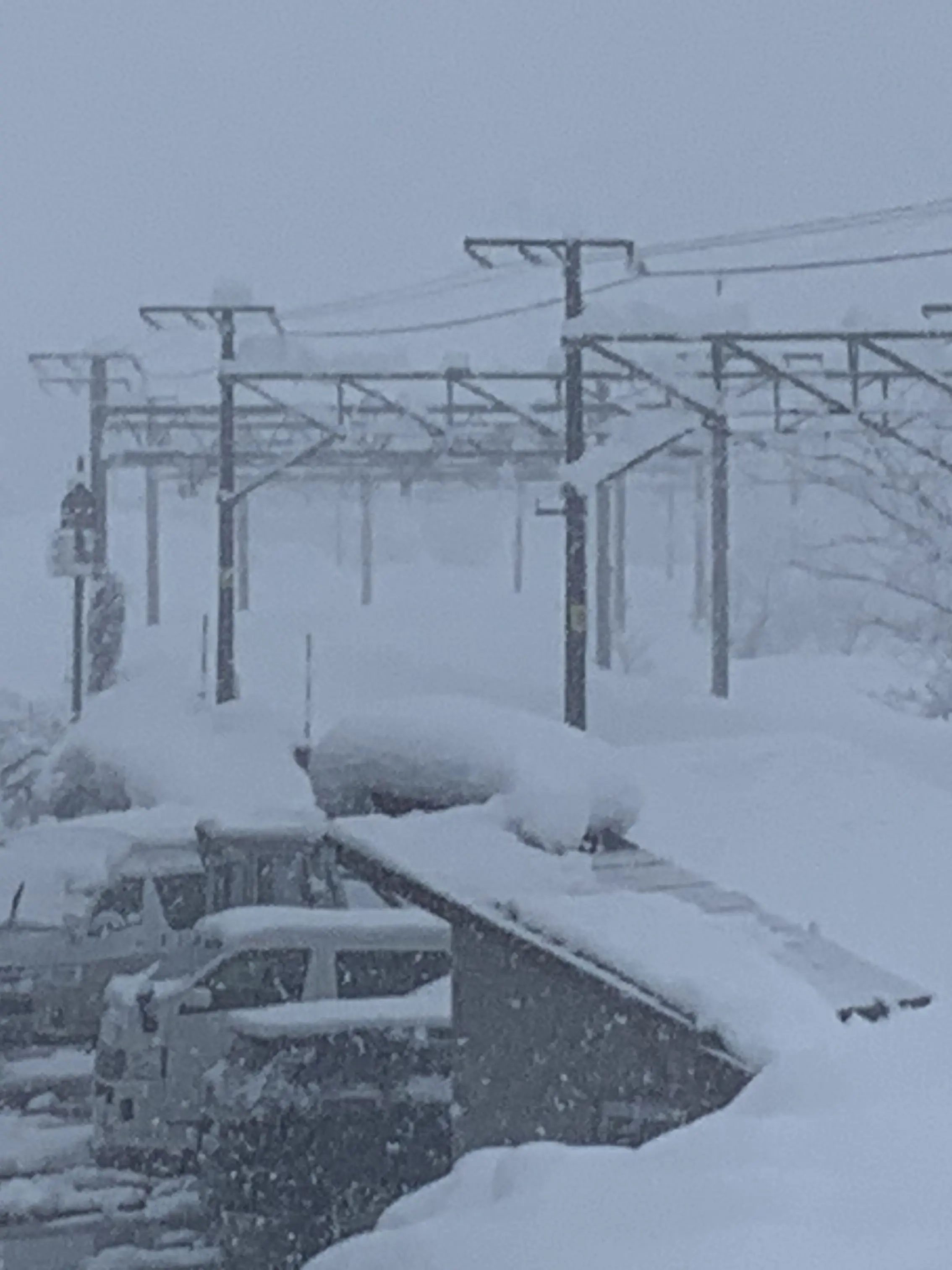 GaudyXerus4533의 黒沢線にて