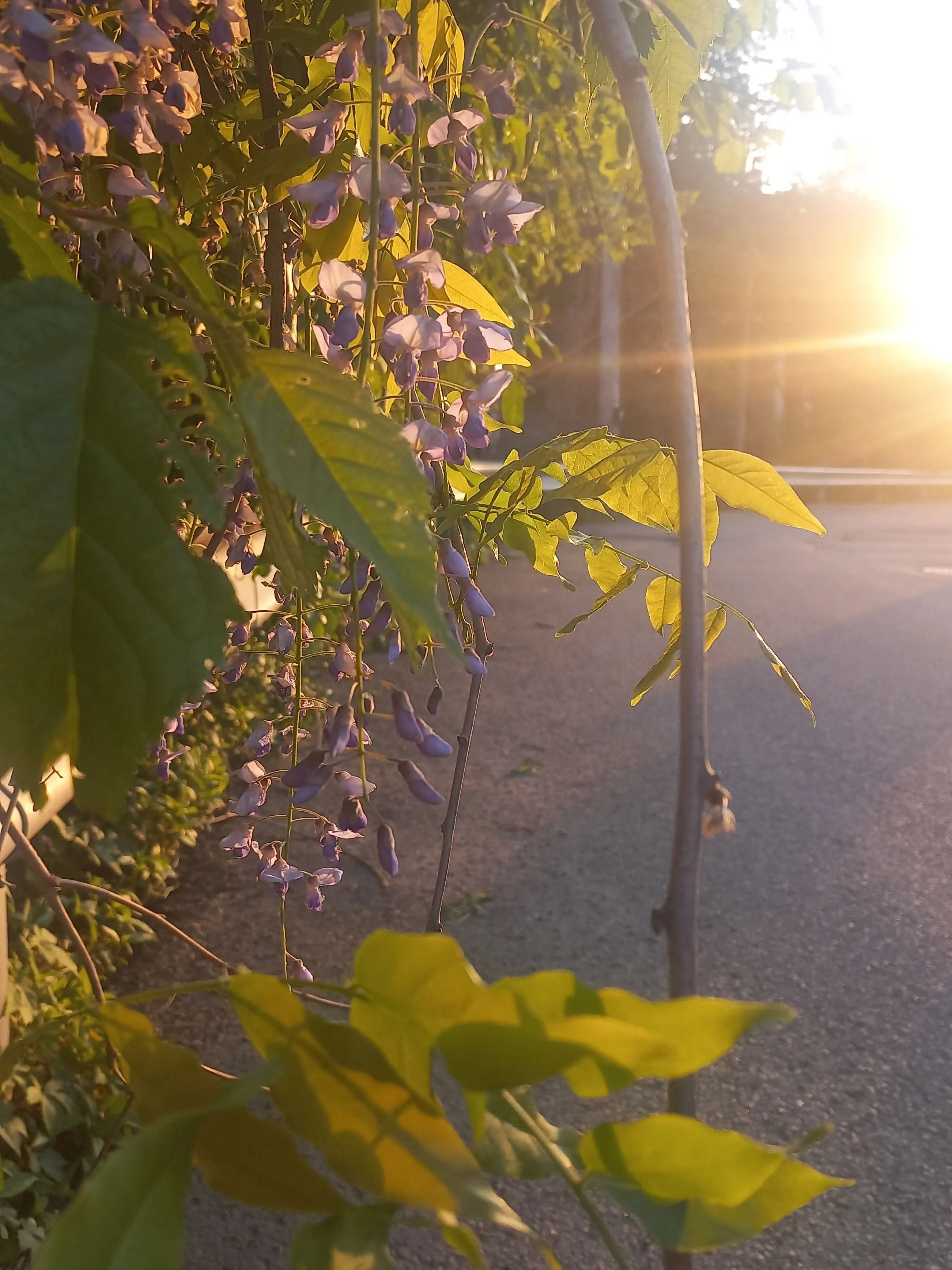 ScenicNose6165의 싸코 예술 학교 [싸이코드]