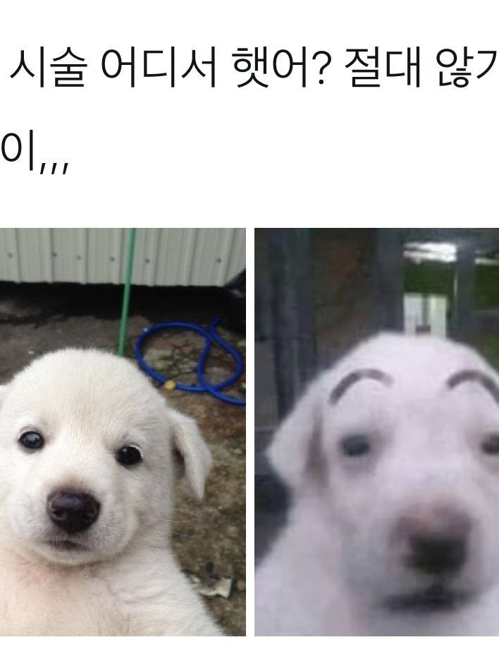 친형들 대표 이미지
