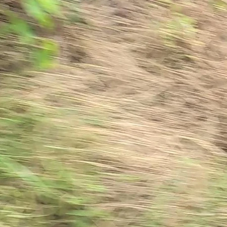 2人の時間