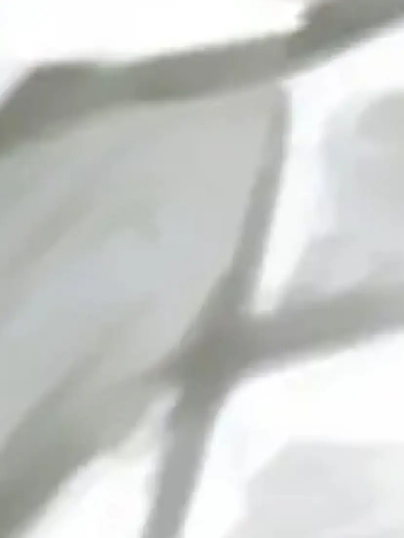 477의 ヒート中なのに襲ってくれない