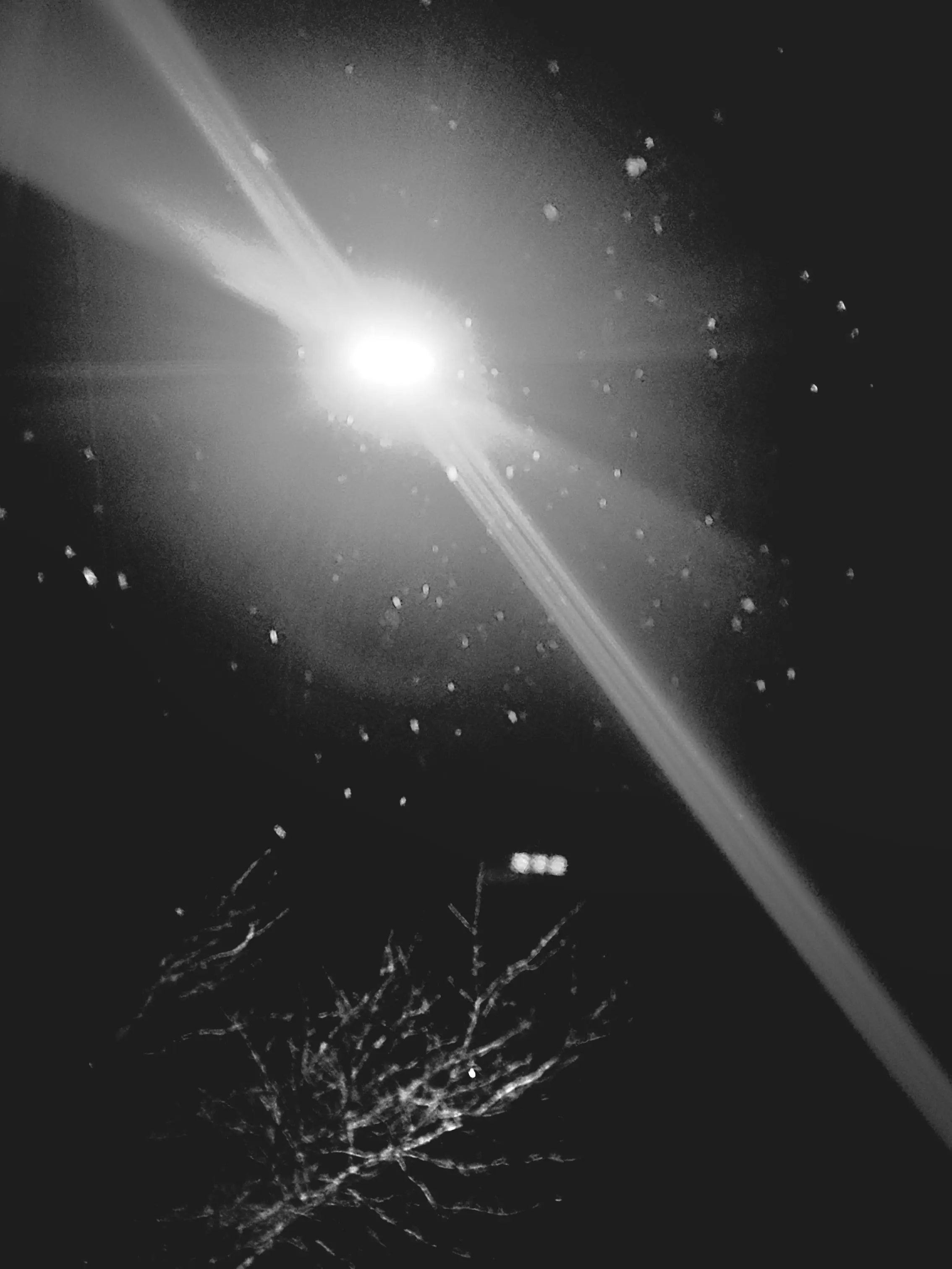 PettyDoor3802의 소심한 이 사랑에 대가가 있다면,