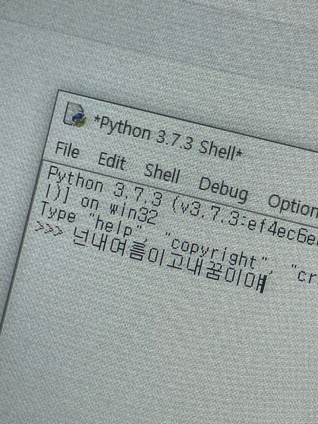 NuttyCoach4857의 머리끈